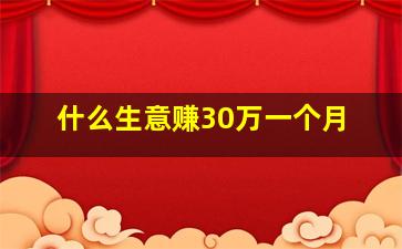 什么生意赚30万一个月