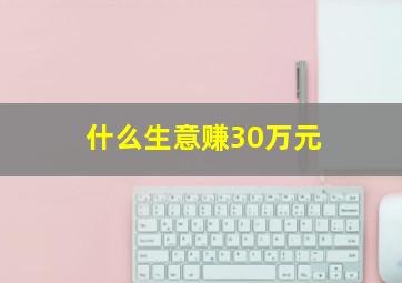 什么生意赚30万元