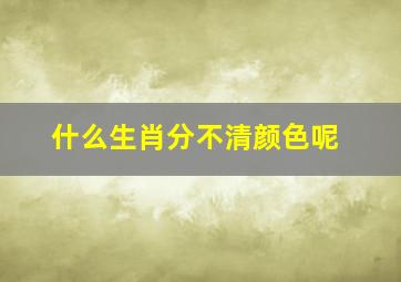 什么生肖分不清颜色呢