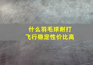 什么羽毛球耐打飞行稳定性价比高