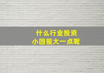 什么行业投资小回报大一点呢