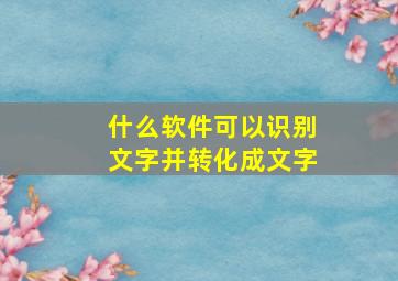 什么软件可以识别文字并转化成文字