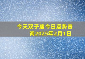 今天双子座今日运势查询2025年2月1日