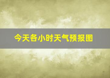 今天各小时天气预报图