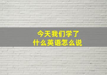 今天我们学了什么英语怎么说