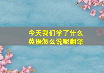 今天我们学了什么英语怎么说呢翻译