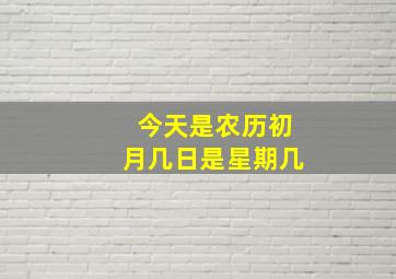 今天是农历初月几日是星期几