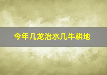 今年几龙治水几牛耕地