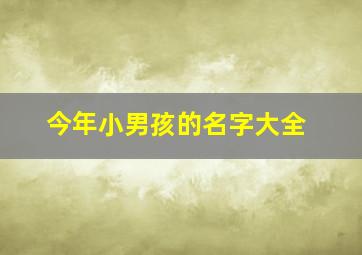 今年小男孩的名字大全