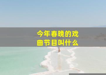 今年春晚的戏曲节目叫什么