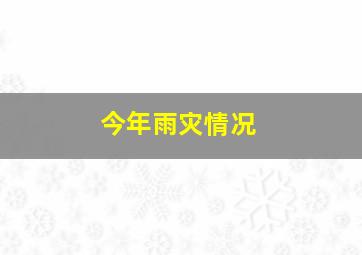 今年雨灾情况