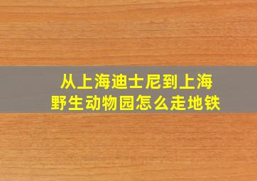 从上海迪士尼到上海野生动物园怎么走地铁