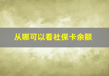 从哪可以看社保卡余额