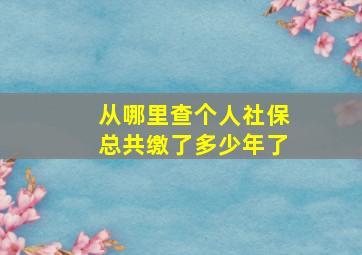 从哪里查个人社保总共缴了多少年了