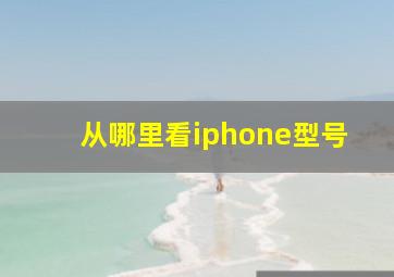 从哪里看iphone型号