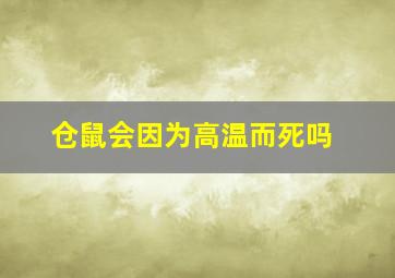 仓鼠会因为高温而死吗