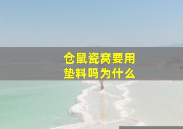 仓鼠瓷窝要用垫料吗为什么