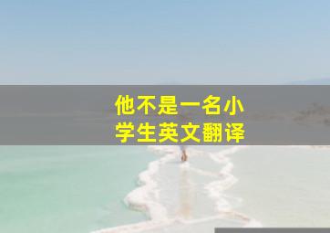 他不是一名小学生英文翻译