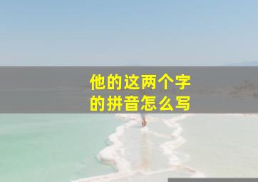 他的这两个字的拼音怎么写