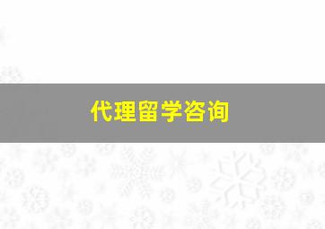 代理留学咨询