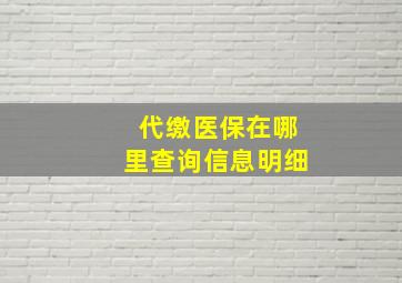 代缴医保在哪里查询信息明细