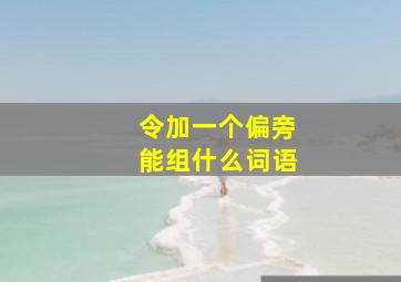 令加一个偏旁能组什么词语