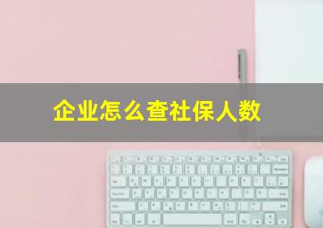 企业怎么查社保人数