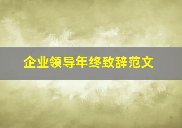 企业领导年终致辞范文