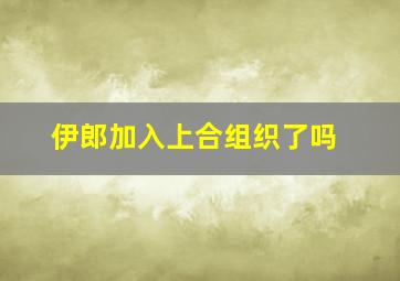 伊郎加入上合组织了吗