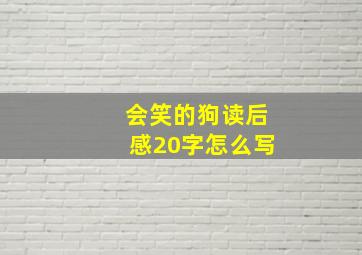 会笑的狗读后感20字怎么写