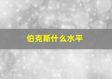 伯克斯什么水平