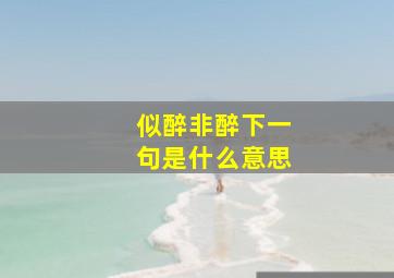 似醉非醉下一句是什么意思