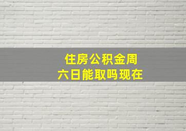 住房公积金周六日能取吗现在