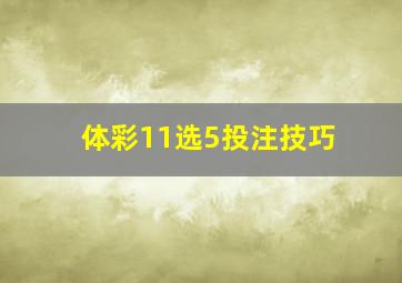 体彩11选5投注技巧