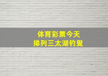 体育彩票今天排列三太湖钓叟