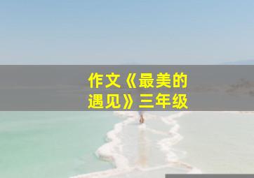 作文《最美的遇见》三年级