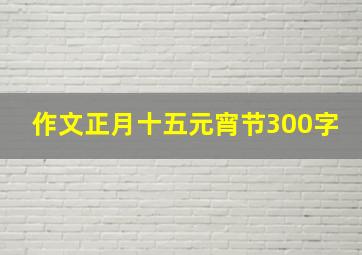 作文正月十五元宵节300字