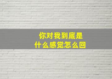 你对我到底是什么感觉怎么回