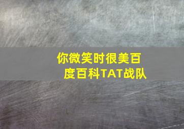 你微笑时很美百度百科TAT战队