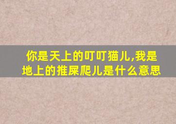 你是天上的叮叮猫儿,我是地上的推屎爬儿是什么意思