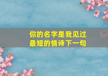 你的名字是我见过最短的情诗下一句