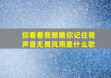 你看着我眼睛你记住我声音无畏风雨是什么歌