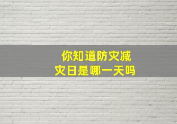 你知道防灾减灾日是哪一天吗