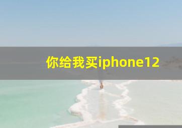 你给我买iphone12