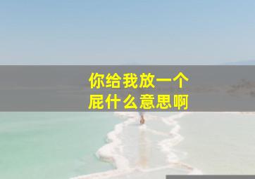 你给我放一个屁什么意思啊