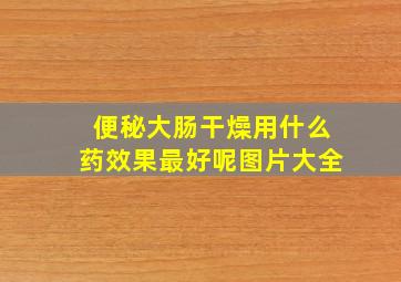 便秘大肠干燥用什么药效果最好呢图片大全