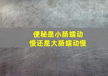 便秘是小肠蠕动慢还是大肠蠕动慢