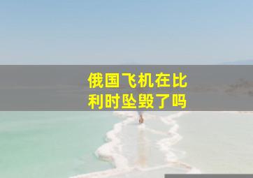 俄国飞机在比利时坠毁了吗