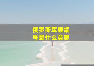 俄罗斯军舰编号是什么意思