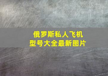 俄罗斯私人飞机型号大全最新图片